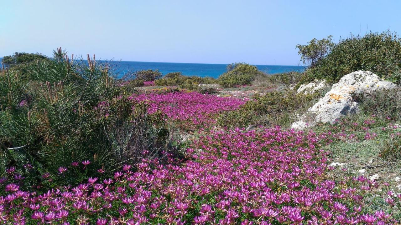 Casamare Villa Taranto Eksteriør billede
